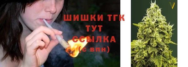 крисы Верея