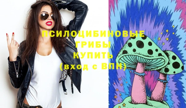 крисы Верея