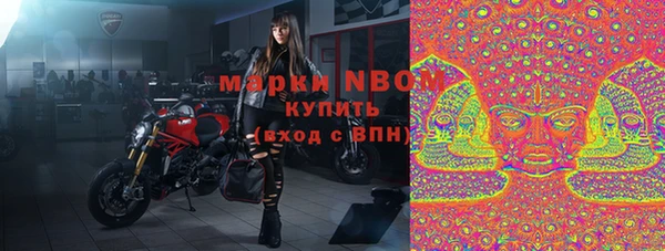 крисы Верея