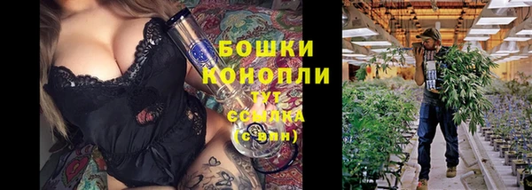 крисы Верея